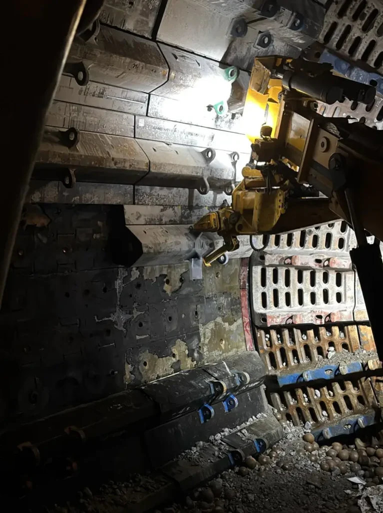 Rev-molinos-nueva-MILLS